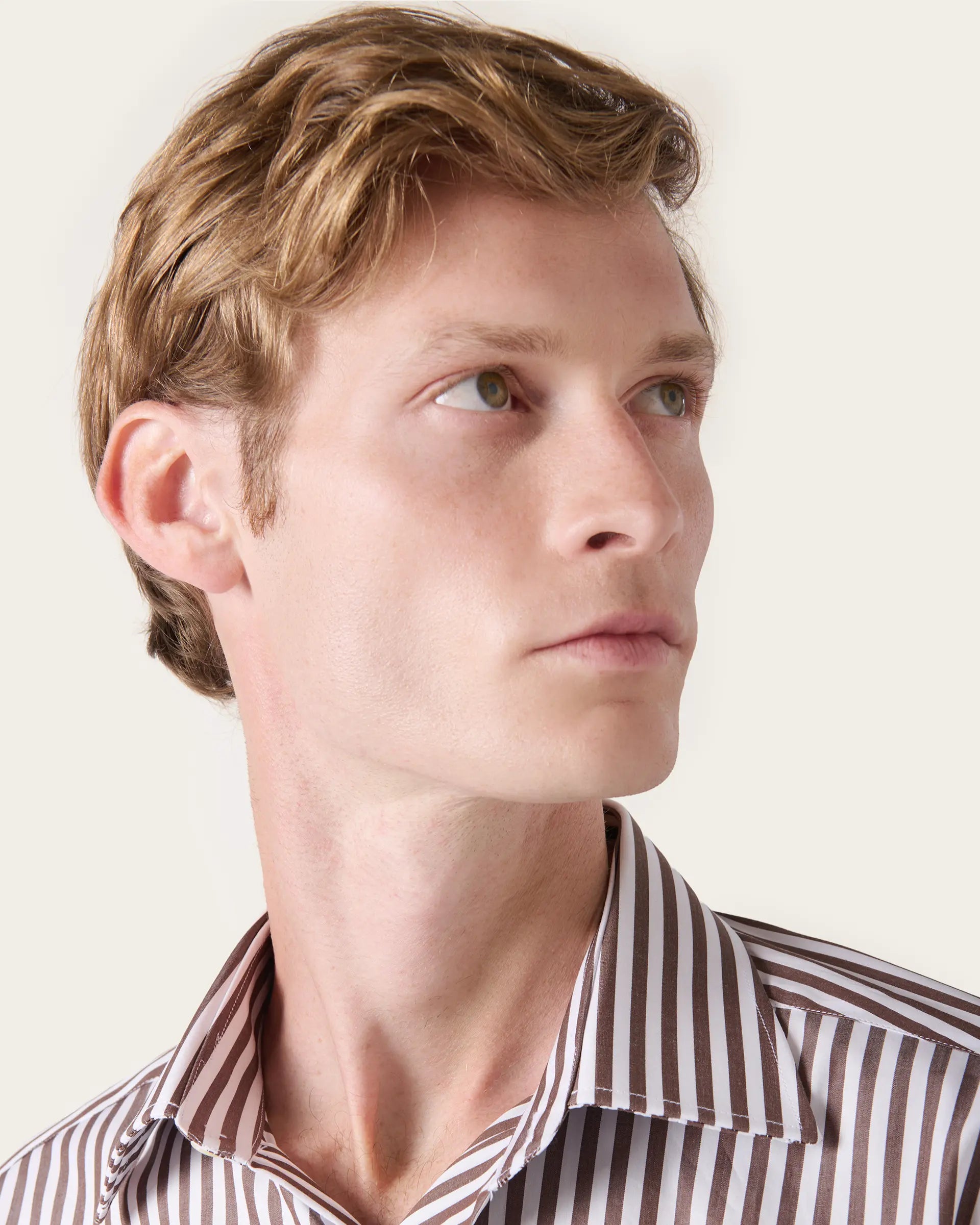 Brown striped shirt in pure cotton regular fit